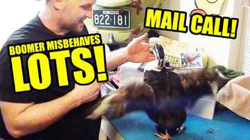 Boomer Misbehaves - VW Parts - Skeeter Gifts - Mail Call Monday - 98