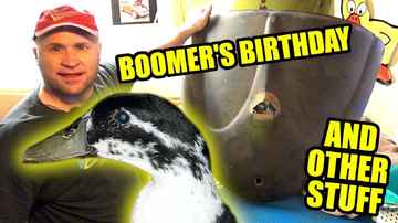 Boomers Birthday - Changes - Skeeter's Cards - Mail Call Monday - 97