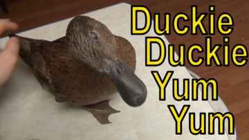Duckie Duckie Yum Yum Song (Skeeter Is So Fun)