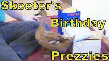 PRESENTS - SkeeterTheDuck's 9th Birthday - Part 6