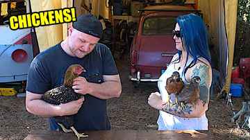 Chickens March 2023 Update!- Midday Q&A 179