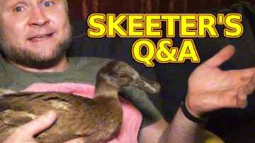 SkeeterTheDuck's Q&A