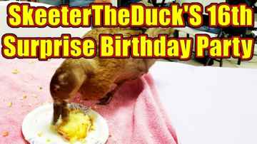 Skeeter's Surprise Birthday Party