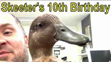 SkeeterTheDuck's 10th Birthday - 2012