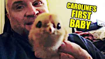 Caroline's Baby Comes Home! - Krash Egg Update - Midday Q&A 144
