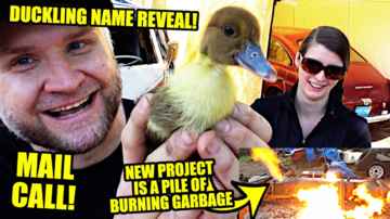 Duckling Name Reveal / Junkyard Build / Mail Call - Midday Q&A 130